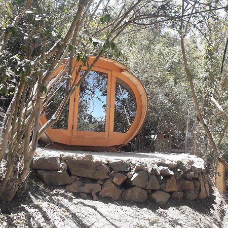 Biosfera Lodge Olmué Zewnętrze zdjęcie