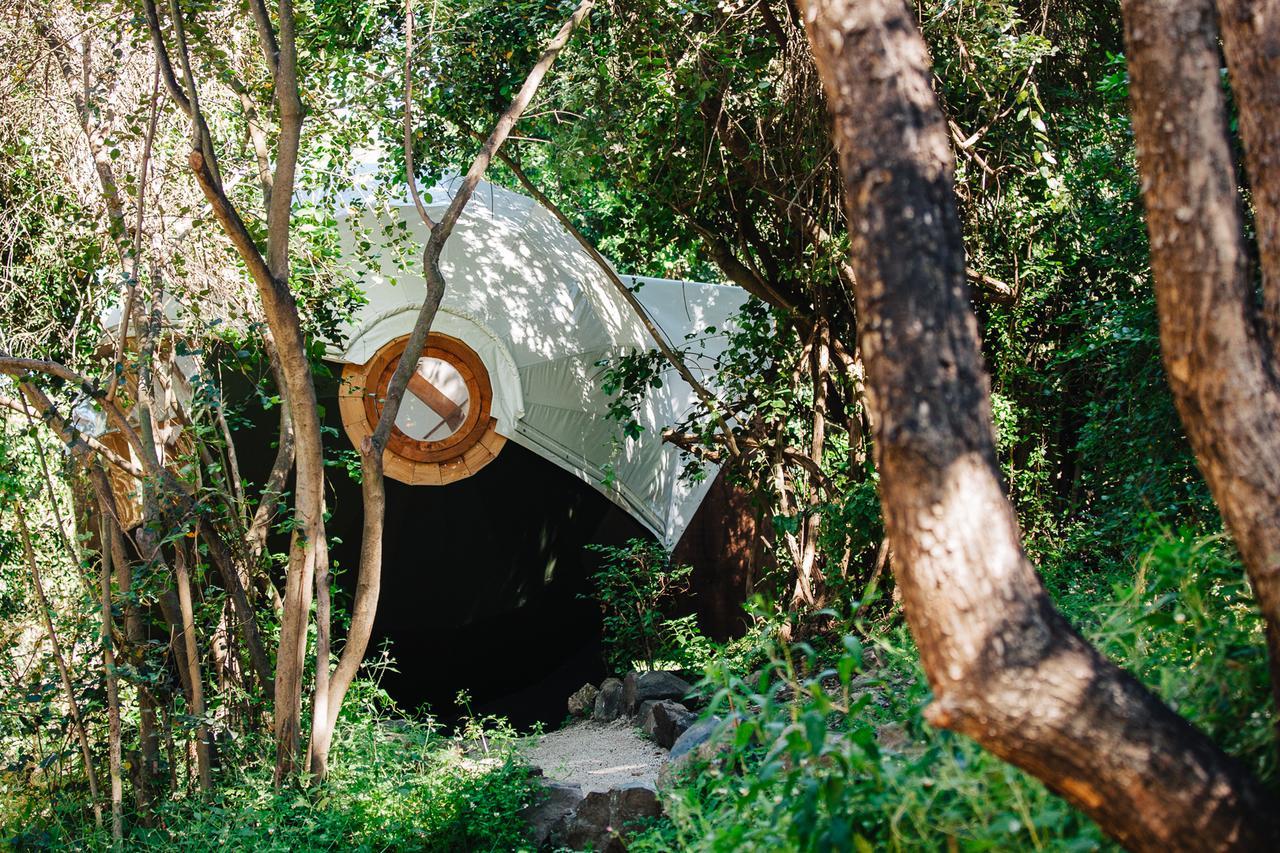 Biosfera Lodge Olmué Zewnętrze zdjęcie