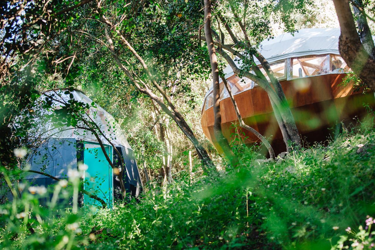 Biosfera Lodge Olmué Zewnętrze zdjęcie